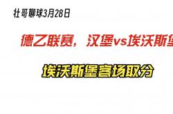 1xbet体育网页版入口-沃尔夫斯堡客场逼平对手,状态出色的简单介绍