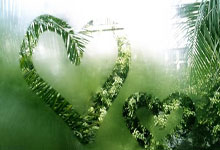 1xbet体育入口-蒙特雷进攻端火力强劲，欲破曼联防线