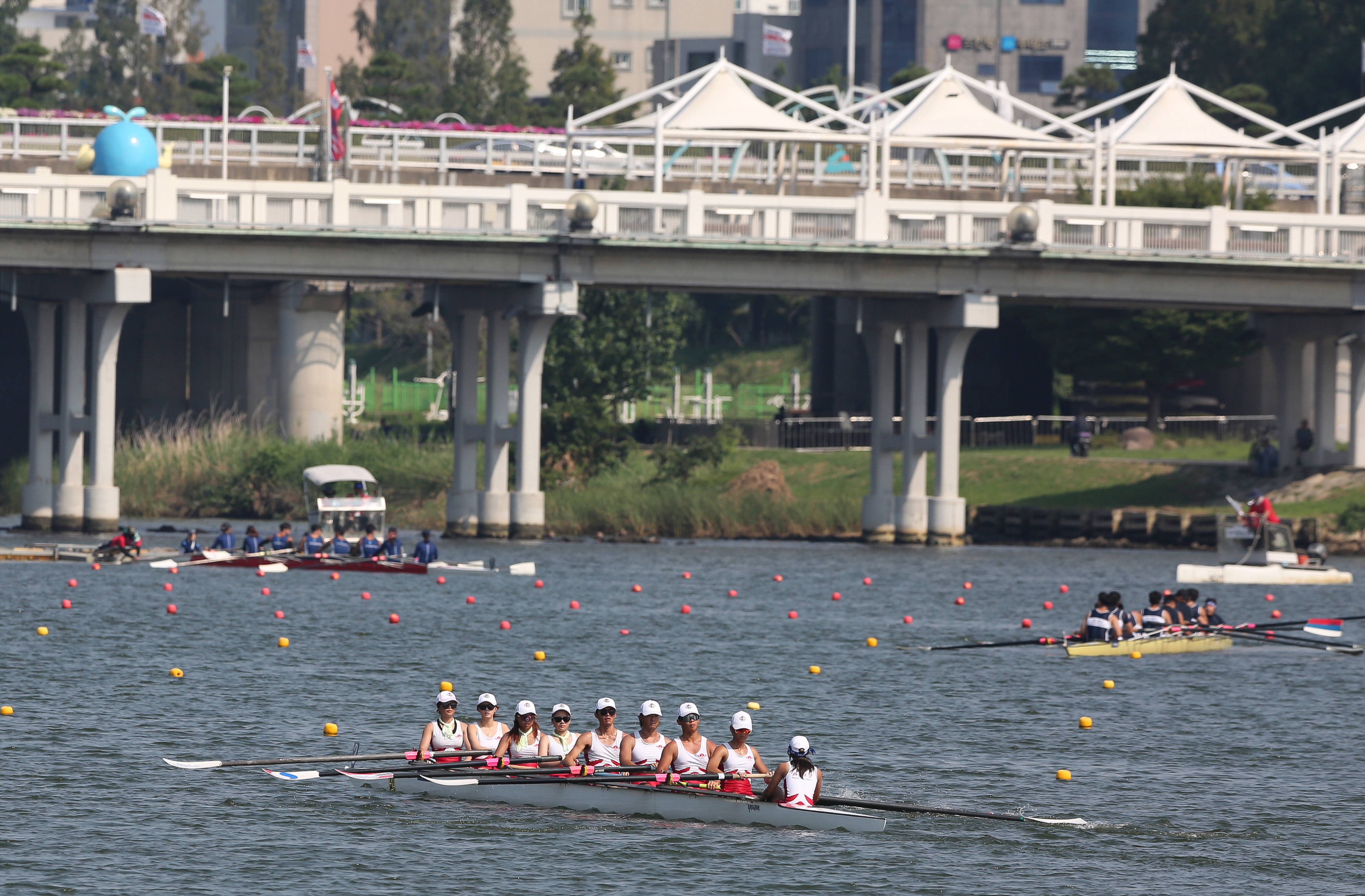 赛艇比赛中队员团结协作取胜