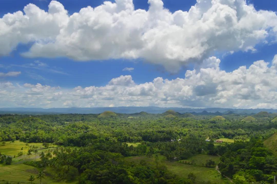 瓦朗谢纳平局收场，努力拼搏表现出色的简单介绍